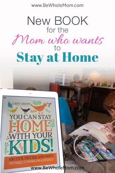 New Book for the Mom who wants to stay at home